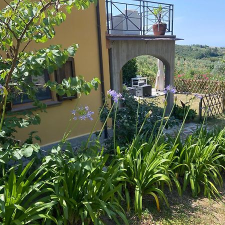 Villa Antonella Castellina Marittima Buitenkant foto