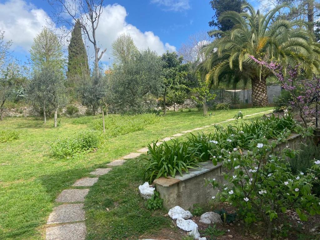 Villa Antonella Castellina Marittima Buitenkant foto